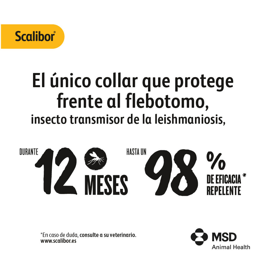 1 collar x 48 cm Scalibor Collar Antiparasitario para perros, , large indicador imagen numero 4